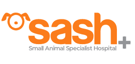 Sash logo